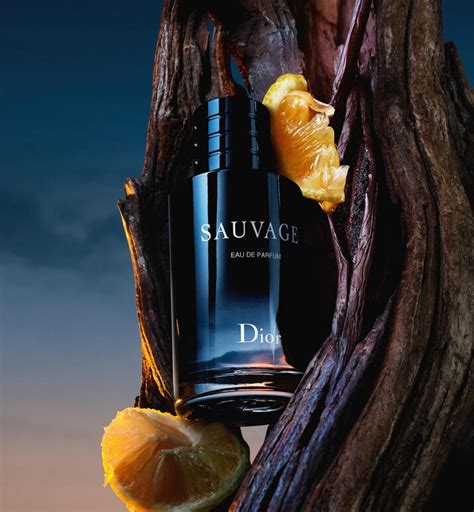 dior home savage perfum|Sauvage Eau de Parfum: Citrus Vanilla Fragrance .